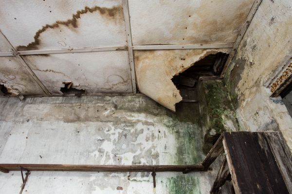 Cost of Water Damage Service in Fayetteville