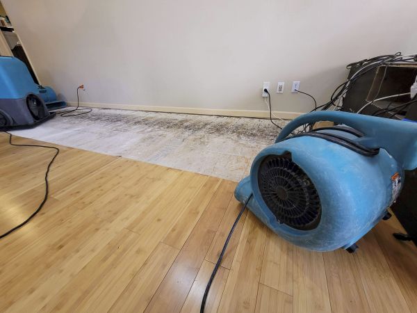 Cost of Water Damage Mitigation in Fayetteville