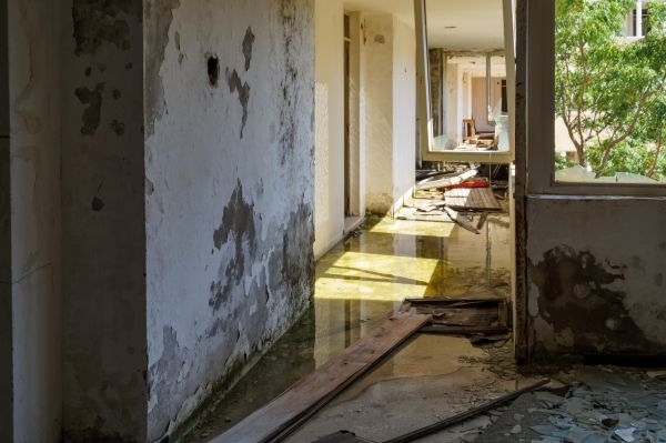 Cost of Water Removal Service in Fayetteville