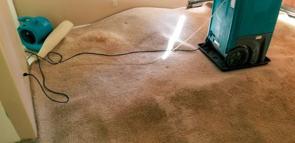 Carpet Water Extraction in Fayetteville